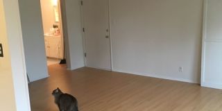 1932 Grace Avenue Gallery 1
