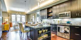 The Ivy Park Place Gallery 3