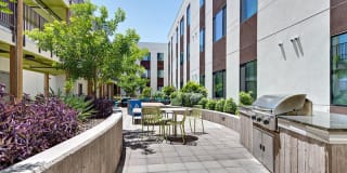 Agave 350 Gallery 40