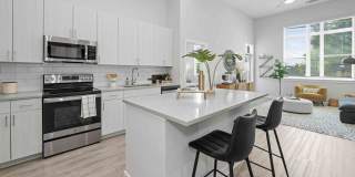 Alta West Morehead Gallery 5