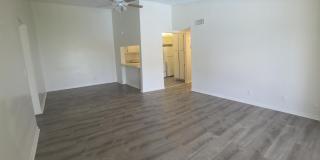 202 Foxtail Drive Gallery 1