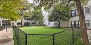 5 Mockingbird Gallery 32