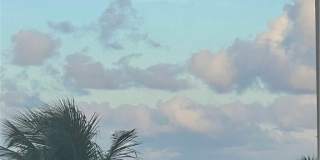 3939 OCEAN DRIVE 405B Gallery 28