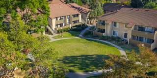 Citrus Place Gallery 49