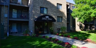 Silver Pines Gallery 4