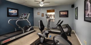 Renaissance Terrace Gallery 12