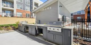 Bluebird on Seventy Gallery 29