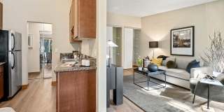 Lake Pointe Gallery 8