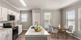 Olympus Las Colinas Gallery 2