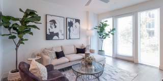 The Dylan Gallery 2