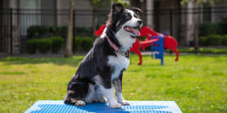 The Outlook Gallery 10