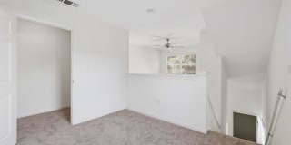 The Estates Gallery 11