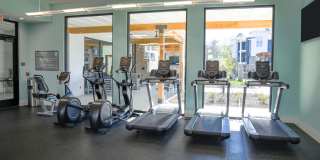 Waters at Hammond Gallery 28