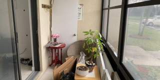 825 Sky Pine Way Gallery 16