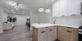 7710 TEMPLE Road Gallery 7