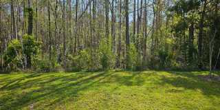 *****BEAUTIFUL 4/2 HOME IN PALM COAST SCREENED IN LANI *****BEAUTIFUL 4/2 HOME IN PALM COAST SCREENED IN LANI Gallery 5