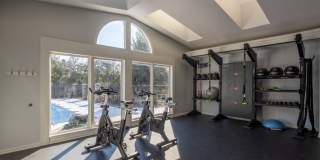 Canter Chase Gallery 10