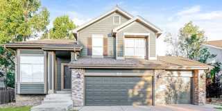 151 Terra Vista Street Gallery 1
