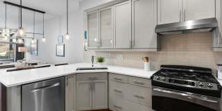 3650 Pinedale Street Gallery 4