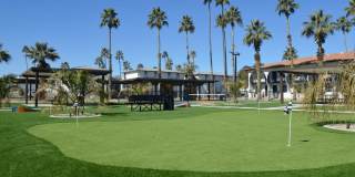 Polanco Apartments Gallery 27