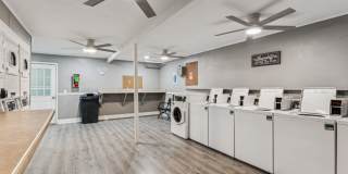 Ashford Place Gallery 19