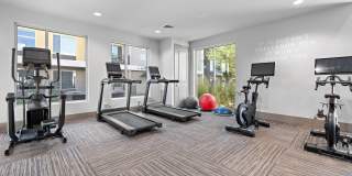 Bask Deer Valley Gallery 17