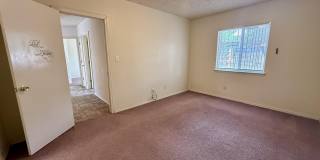 12118 ROYAL WOODS Drive Gallery 13