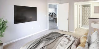 Palm Trace Landings Gallery 50