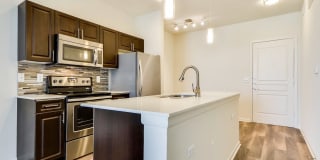 The Residences at the Domain Gallery 17