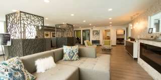Park 88 Gallery 24