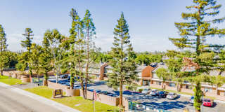 Valley Springs Gallery 1