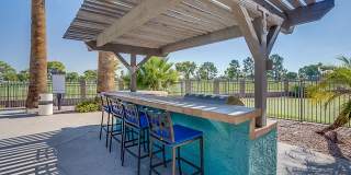Aventerra at Dobson Ranch Gallery 46
