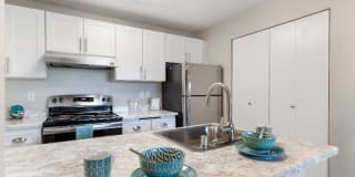 Avana Chestnut Hill Gallery 2