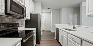 Lake Clearwater Gallery 58