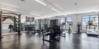The Harth Gallery 12