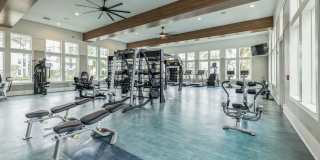 Bainbridge Avenues Walk Gallery 21