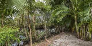 172 Jones Creek Drive Gallery 28