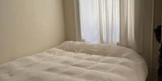 294 3rd Avenue Gallery 5