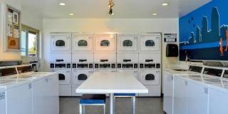 La Jolla Canyon Gallery 24