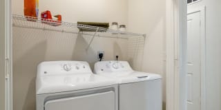 The Mason Fremaux Park Gallery 16