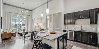 Cortland at Stonebriar Gallery 1