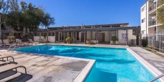 Tarzana Springs Gallery 5