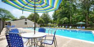 Tall Trees Gallery 6