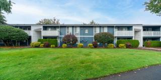 Village at Sota Gallery 3