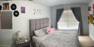 107 Myrtle Wood Court Gallery 12