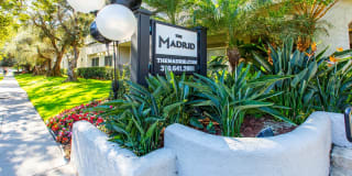 The Madrid Gallery 24