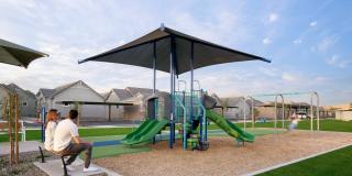 Canopy at Sundance Gallery 18