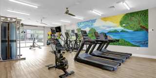 Springs at Ashby Gallery 21