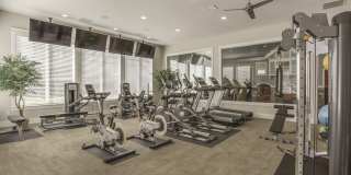 Concord at Geneva Gallery 15