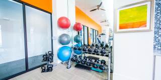 Azul Baldwin Park Gallery 28